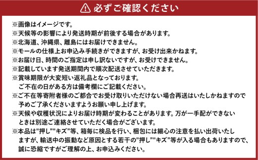あたご梨 2玉 約1.8kg 【2026年11月下旬～12月下旬迄順次発送予定】 梨 なし ナシ 果物 フルーツ 岡山県 倉敷市