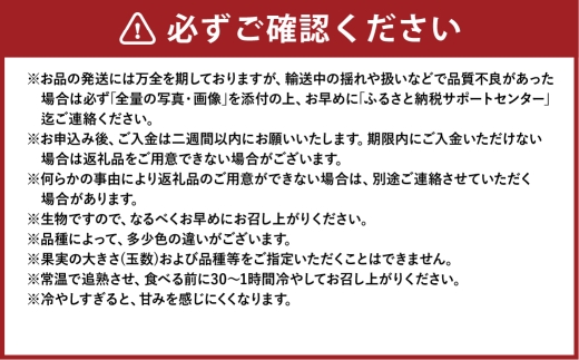 岡山白桃 エース3玉×約200g 計約600g