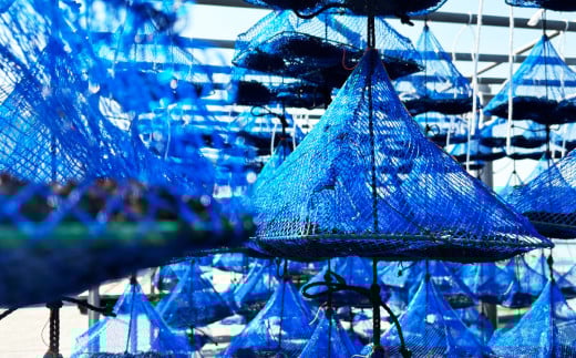 乾燥ひじき（23g×3袋）【ひじき 乾燥 天日干し 健康 美容 岡山県 倉敷市 おすすめ 人気】