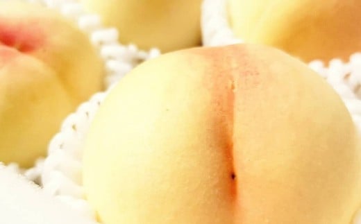 【特選】清水白桃 2キロ