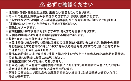 [HS]【定期便 全2回】ぶどう シャイン マスカット 晴王 2房（合計約1.1kg）