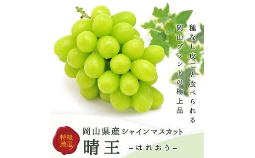 シャインマスカット【晴王】2kg 3房～5房入り【2026年8月上旬～9月下旬まで順次発送予定】 マスカット ぶどう 葡萄 ブドウ フルーツ 果物 くだもの 岡山県 倉敷市
