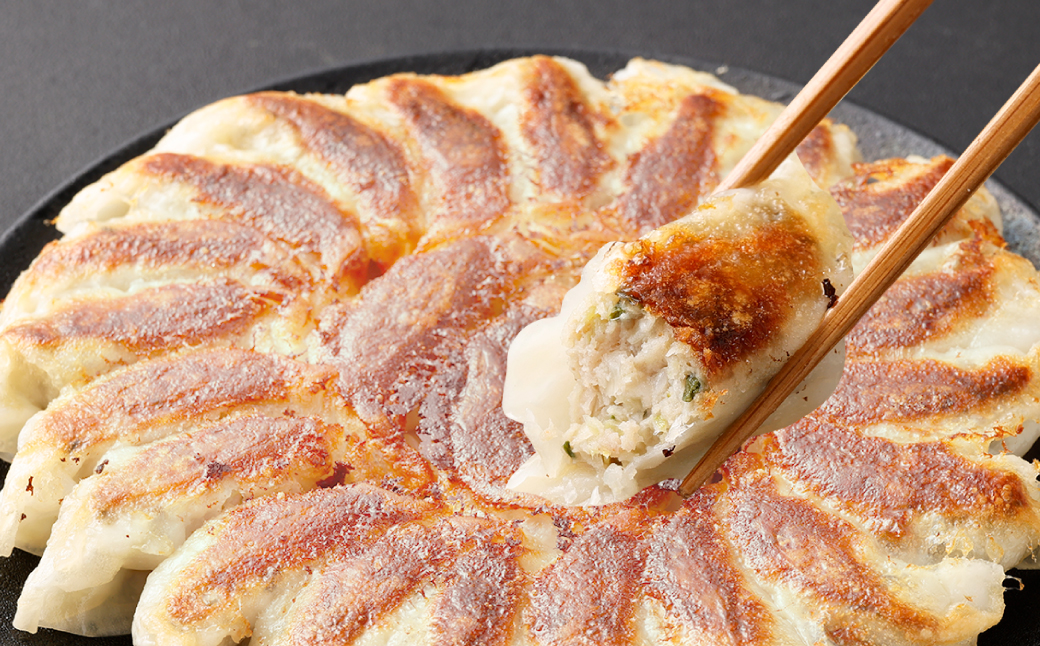 倉敷ぎょうざ本舗 倉敷ぎょうざ 80個 20ヶ入×４パック タレ付き 【餃子 ぎょうざ ギョウザ 岡山県 倉敷市 おすすめ 人気】