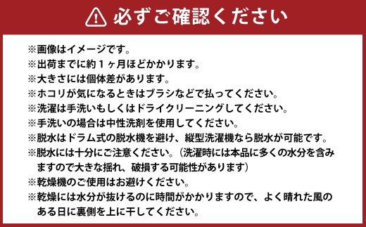 【 倉敷ノッティング 】 手織ウール 椅子敷き 赤地／紺白紋