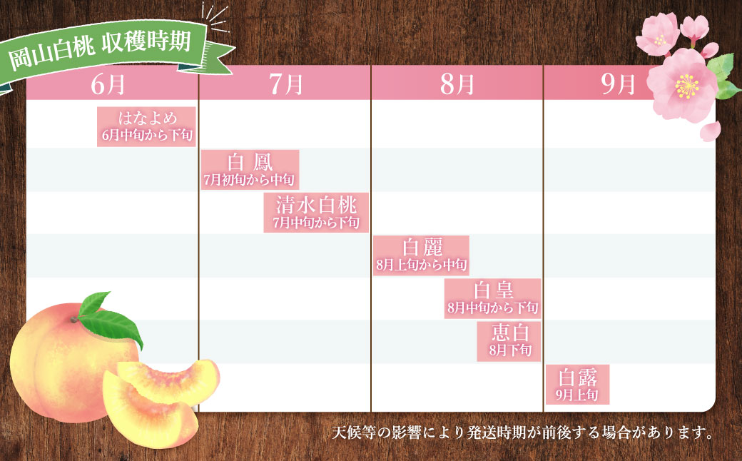 【訳あり】岡山白桃（家庭用）1.2kg以上 サイズ不揃い【2026年7月上旬～9月上旬まで順次発送予定】 もも 桃 モモ 4～7玉 フルーツ 果物 岡山県 倉敷市