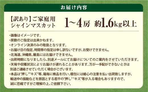 ご家庭用 シャインマスカット 1～3房（約1.6kg以上）