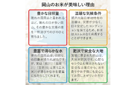 にこまる 5kg×2袋 計10kg