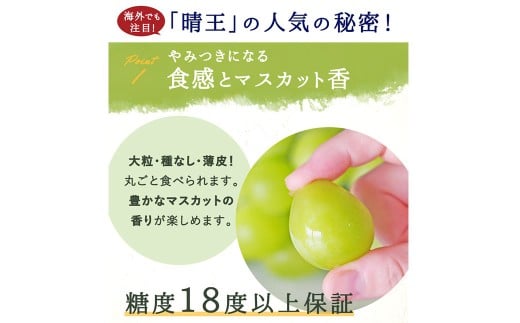 シャインマスカット【晴王】2kg 3房～5房入り【2026年8月上旬～9月下旬まで順次発送予定】 マスカット ぶどう 葡萄 ブドウ フルーツ 果物 くだもの 岡山県 倉敷市