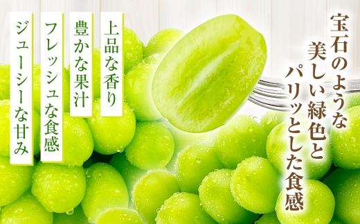 【定期便 全2回／2026年9・10月発送】 岡山県産シャインマスカット 晴王 2房 約1.3kg｜2回定期便 9月10月に1回づつ発送 種無し 皮ごと食べる 旬の美味しさ フレッシュ 先行予約 ハレノフルーツ