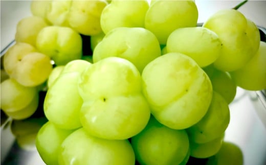 岡山県産ぶどう2種（シャインマスカット+瀬戸ジャイアンツ）家庭用 約5kg