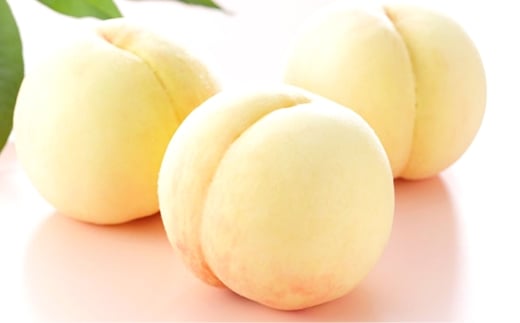 岡山白桃 エース3玉×約200g 計約600g 岡山県産 【2026年7月上旬～8月下旬まで順次発送予定】 モモ もも 桃 白桃 果物 フルーツ 岡山県 倉敷市