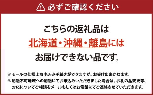 いちご おまかせ 4パック 箱詰め 約1080g 倉敷産 イチゴ いちご 苺 フルーツ 果物 詰め合わせ セット【2025年12月上旬～2026年3月下旬迄順次発送予定】