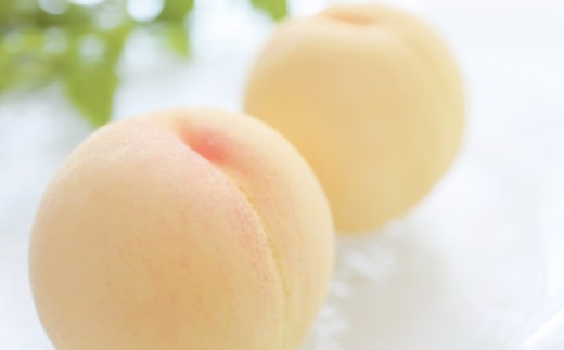 【訳アリ家庭用】清水白桃 2キロ