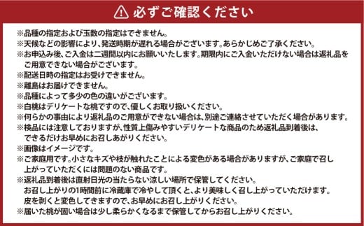 【ご家庭用】 岡山白桃 5～7玉（約1.5kg以上）