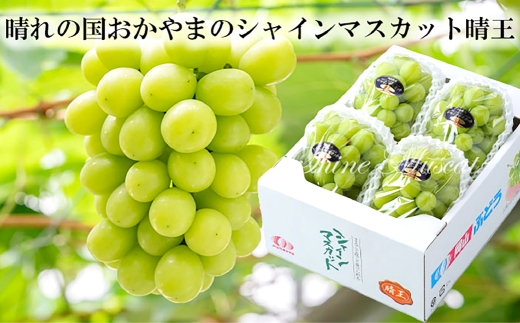 ご家庭用 シャインマスカット 晴王 約400g×2房 計約800g【2026年8月下旬～11月下旬まで順次発送予定】 マスカット 葡萄 ぶどう ブドウ 果物 フルーツ 岡山県 倉敷市