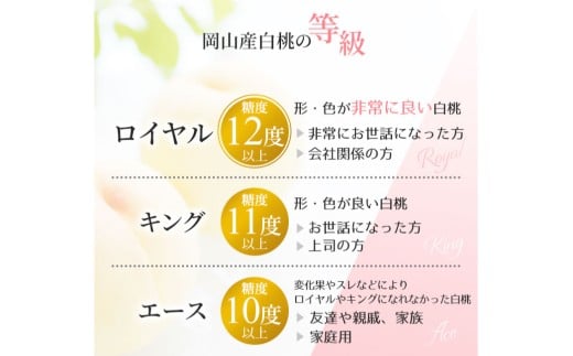岡山白桃 ロイヤル 5～7玉入り（合計約1.5kg）【2026年7月上旬～8月下旬 発送予定】【もも 桃 白桃 果物 フルーツ 国産 人気 おすすめ 岡山県 倉敷市】