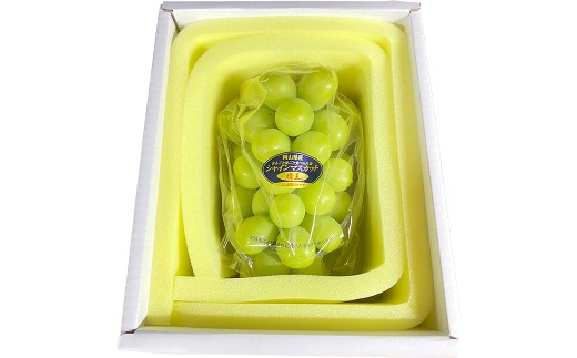 晴王 シャインマスカット晴王 1房 約600g