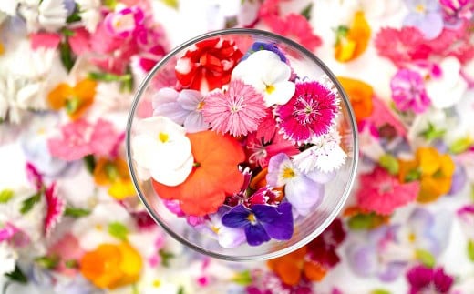 エディブルフラワー 生花MIX（20輪入り）5パックセット【食べられるお花 栽培期間中 農薬不使用】