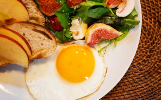 ブランド卵 満月（80個）【たまご 卵 玉子 タマゴ オムレツ 卵かけご飯 たまご焼き 満月 岡山県 倉敷市 おすすめ 人気】