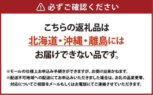 【Ortolano】野菜 定期便