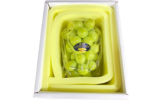晴王 シャインマスカット晴王 1房 約600g