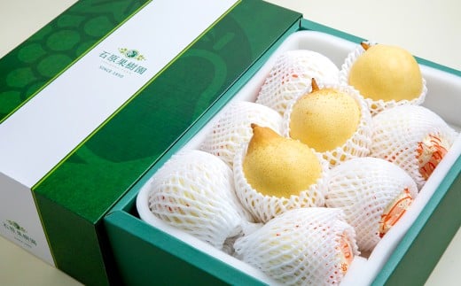 鴨梨（ヤーリー）6～12玉 合計約4.5kg