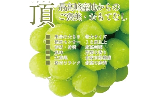 プレミアム シャインマスカット 晴王 2房 約1.3kg 種無し 皮ごと食べる フレッシュ 旬の美味しさ【2026年9月上旬-10月下旬 発送予定】【シャインマスカット マスカット ぶどう 葡萄 岡山県産 種無し 皮ごと食べる みずみずしい 9月～10月お届け フレッシュ 晴れの国おかやま 果物大国 贈答品 彩美菜果 岡山県 倉敷市】