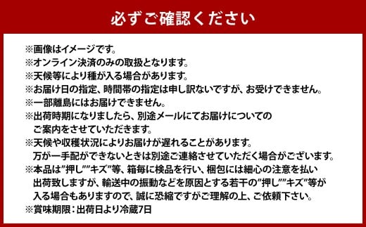 ご家庭用 旬のぶどう 2種（合計2kg以上）