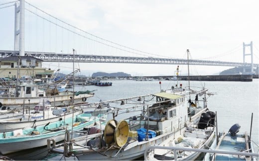 「こどものための味付のり」6点