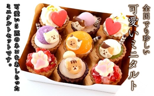 ねこみにタルト9個入り