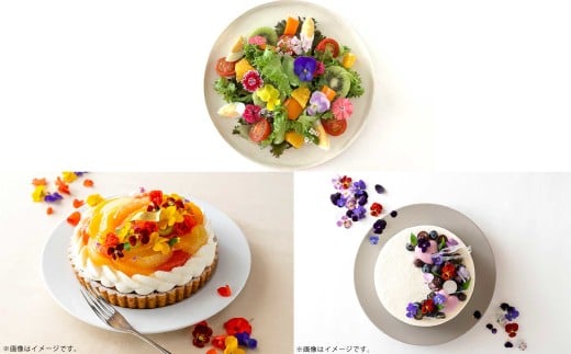 エディブルフラワー 生花MIX（20輪入り）5種5パックセット 【食べられるお花 栽培期間中 農薬不使用】