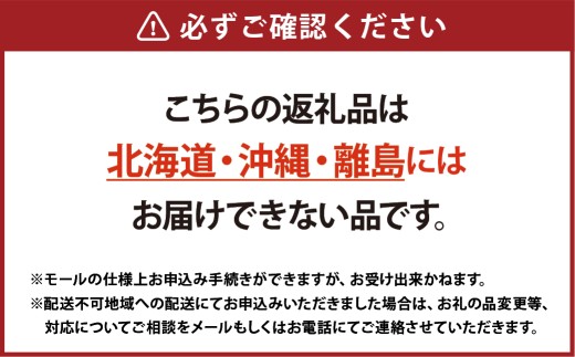 特選いちご 化粧箱入り 2パック 約900g 倉敷産 イチゴ いちご 苺 フルーツ 果物 詰め合わせ セット【2025年12月上旬～2026年3月下旬迄順次発送予定】