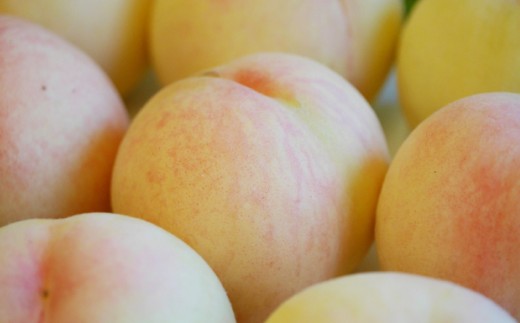 【訳アリ家庭用】岡山白桃 3.6kg