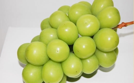 葡萄詰合せ（シャインマスカット晴王 2房（1房 580g以上）・ニューピオーネ 2房（1房 580g以上） 露地栽培【2026年9月上旬～10月下旬まで順次発送予定】ぶどう 葡萄 ブドウ ピオーネ マスカット フルーツ