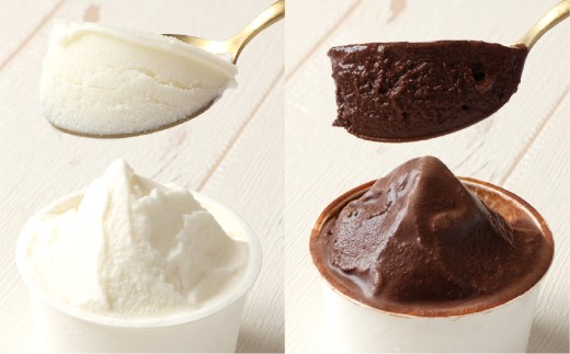 ジェラート12個セット