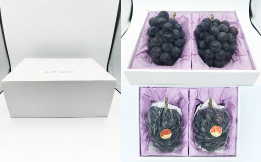 ニュー ピオーネ 2房（1房 650g前後）