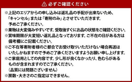 《ご家庭用》 シャインマスカット 2～3房（合計約1.2kg） マスカット ぶどう 葡萄 岡山県産 種無し 皮ごと食べる 岡山県 倉敷市 【2026年9月上旬～10月下旬 発送予定】