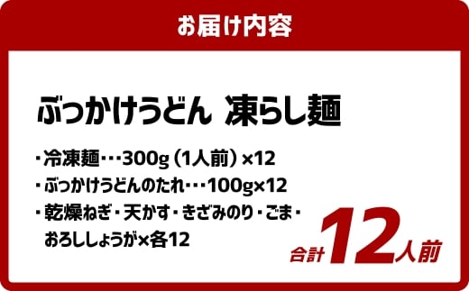 ぶっかけうどん 凍らし麺 12人前 うどん 麺類 麺 冷凍 ぶっかけうどん タレ つゆ 岡山県 倉敷市