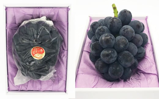 ニュー ピオーネ 1房（1房 600g前後）