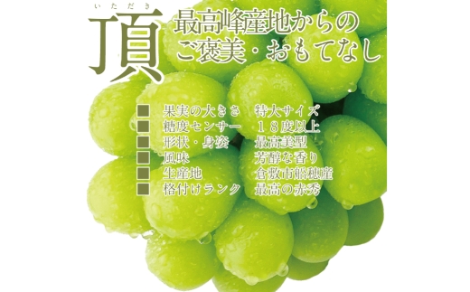 【2回定期便】プレミアム シャインマスカット 晴王 1房 約700g 2回 定期便 9月・10月に1回ずつお届け 種無し 皮ごと食べる フレッシュ 旬の美味しさ【2026年9月上旬発送開始】【シャインマスカット マスカット ぶどう 葡萄 岡山県産 種無し 皮ごと食べる みずみずしい 9月～10月お届け フレッシュ 晴れの国おかやま 果物大国 船穂産 贈答品 岡山県 倉敷市】