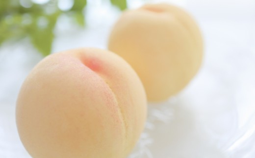 【特選】清水白桃 2キロ