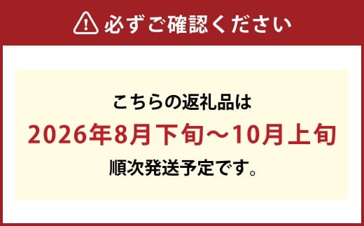 【先行予約】岡山県産 ニューピオーネ 2房（1房480g以上）約1kg 【2026年8月下旬～10月上旬まで順次発送予定】化粧箱入り【 ニューピオーネ 人気フルーツ 岡山フルーツ おすすめフルーツ 岡山県 倉敷市】