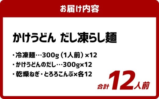 かけうどん だし凍らし麺 12人前 うどん 麺類 麺 冷凍 ぶっかけうどん タレ つゆ 岡山県 倉敷市