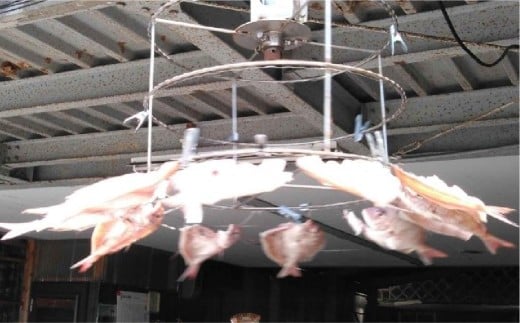 【倉敷市下津井産】おまかせ一夜干し5点セット