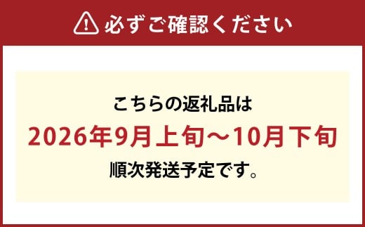 岡山シャインマスカット 2～4房 1.5キロ以上