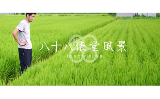 【令和7年産】岡山倉敷市産 特別栽培米 ヒノヒカリ 10kg【お米 米 ヒノヒカリ 国産 岡山県 倉敷市 人気 おすすめ】