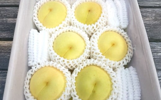 岡山県産冬桃がたり3個入り