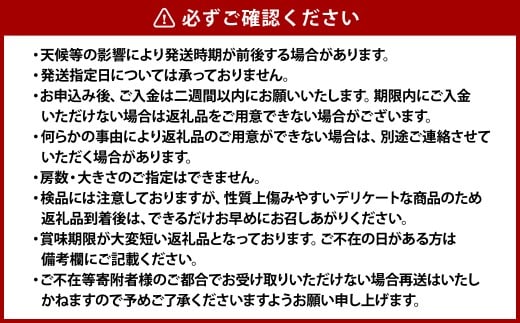 シャインマスカット 1房（約500g）果物 ぶどう フルーツ デザート スイーツ 高糖度 甘い 種なし 大粒 人気 皮ごと【2026年8月下旬～9月下旬発送予定】