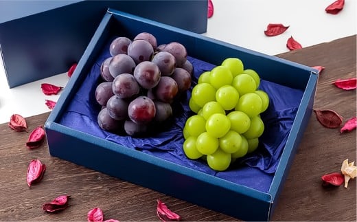 ニューピオーネ1房・シャインマスカット1房