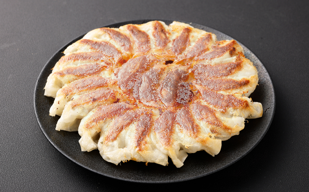 倉敷ぎょうざ本舗 倉敷ぎょうざ 80個 20ヶ入×４パック タレ付き 【餃子 ぎょうざ ギョウザ 岡山県 倉敷市 おすすめ 人気】